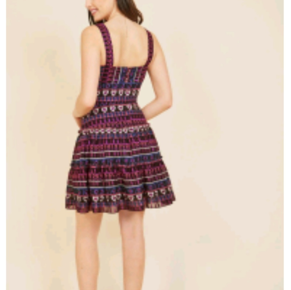 Anna Sui jubilant reunion a-line designer dress NWT SZ 6 - Picture 3 of 9